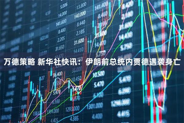 万德策略 新华社快讯：伊朗前总统内贾德遇袭身亡
