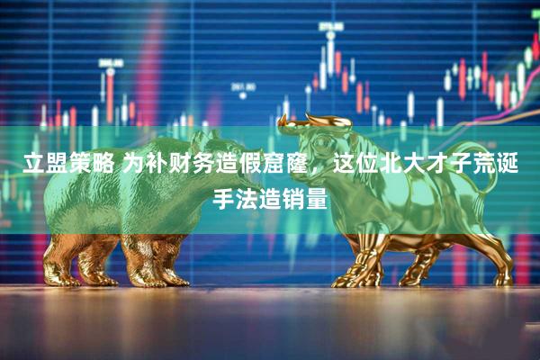立盟策略 为补财务造假窟窿，这位北大才子荒诞手法造销量