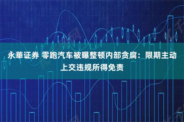 永華证券 零跑汽车被曝整顿内部贪腐：限期主动上交违规所得免责