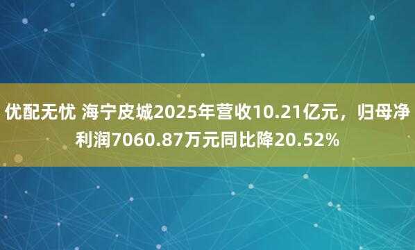 优配无忧 海宁皮城2025年营收10.21亿元，归母净利润7060.87万元同比降20.52%