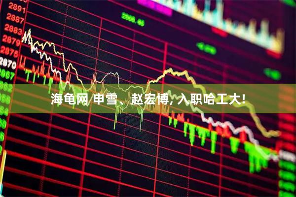 海龟网 申雪、赵宏博, 入职哈工大!