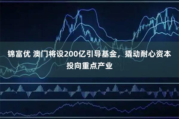 锦富优 澳门将设200亿引导基金，撬动耐心资本投向重点产业