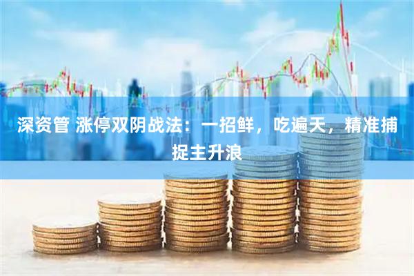 深资管 涨停双阴战法：一招鲜，吃遍天，精准捕捉主升浪