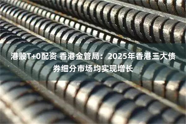 港股T+0配资 香港金管局：2025年香港三大债券细分市场均实现增长
