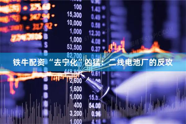 铁牛配资 “去宁化”凶猛：二线电池厂的反攻