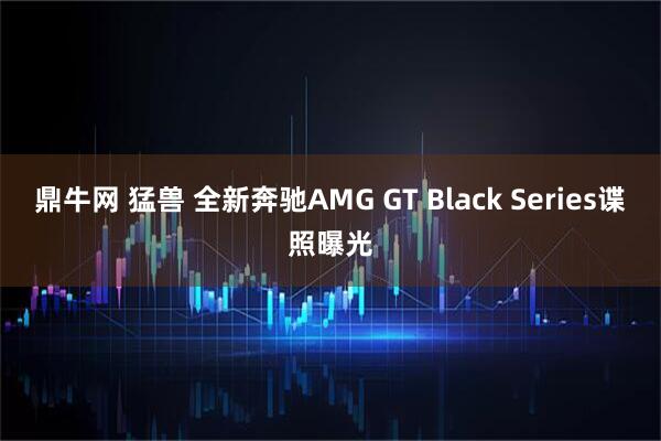 鼎牛网 猛兽 全新奔驰AMG GT Black Series谍照曝光