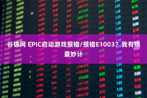 谷锦网 EPIC启动游戏报错/报错E1003？我有锦囊妙计