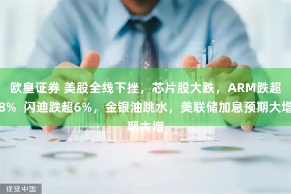 欧皇证券 美股全线下挫，芯片股大跌，ARM跌超8%  闪迪跌超6%，金银油跳水，美联储加息预期大增