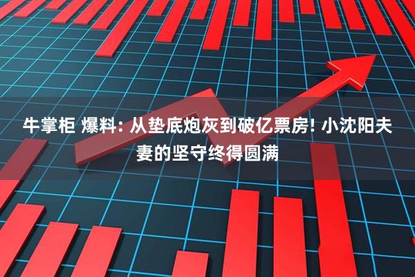 牛掌柜 爆料: 从垫底炮灰到破亿票房! 小沈阳夫妻的坚守终得圆满