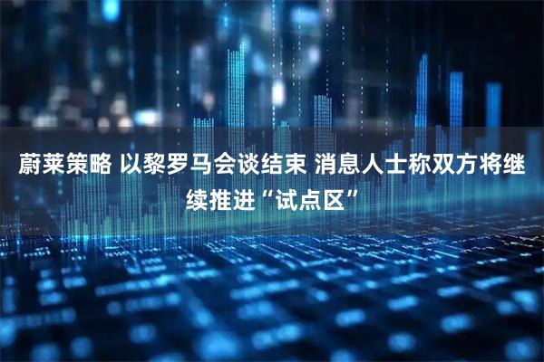 蔚莱策略 以黎罗马会谈结束 消息人士称双方将继续推进“试点区”
