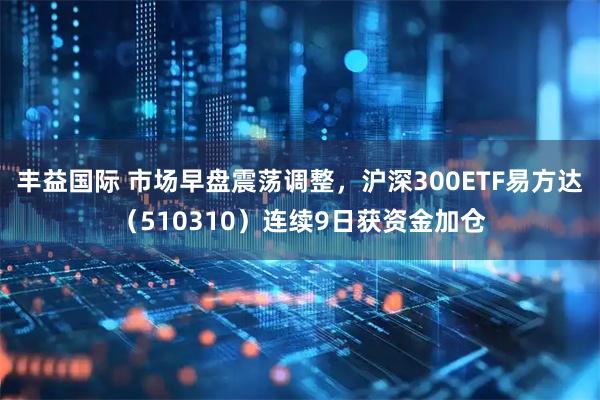 丰益国际 市场早盘震荡调整，沪深300ETF易方达（510310）连续9日获资金加仓